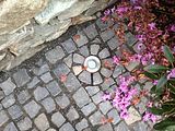 gartenbau_hyseni_25